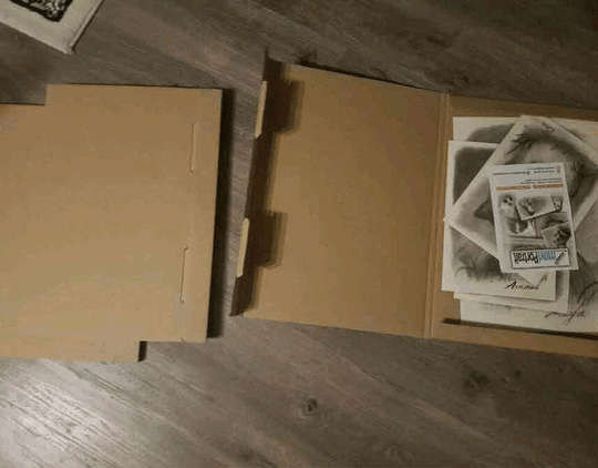 Portrait caricature process animation 3