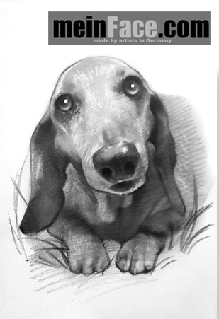 pet Portrait (pencil)