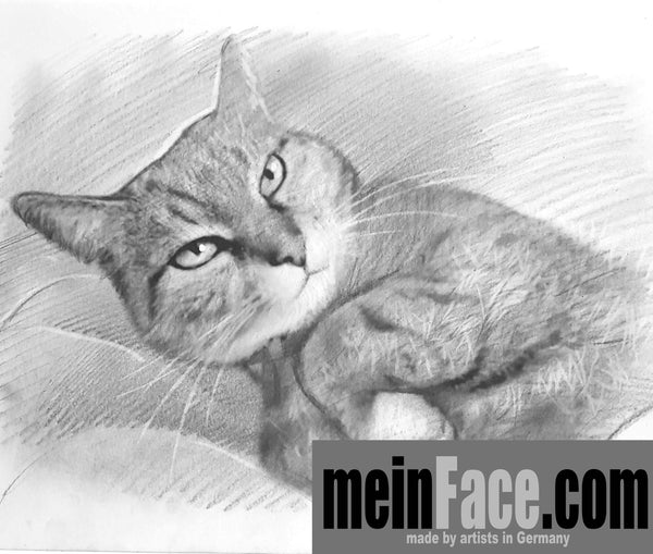 pet Portrait (pencil)